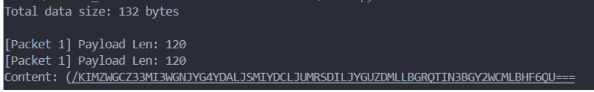 image-20251228190529783